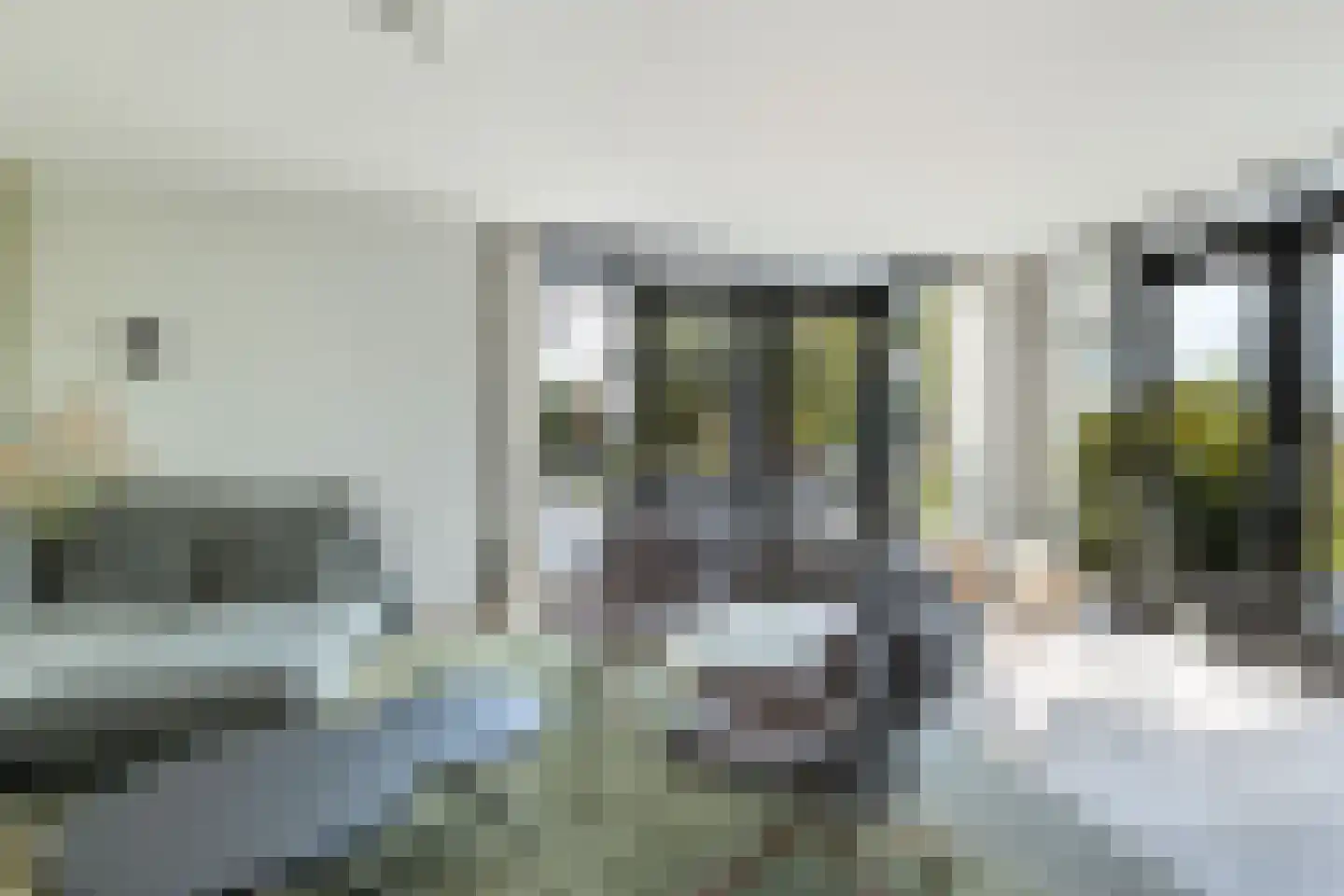Achter-Catwijk 17 Pijnacker thumbnail 18