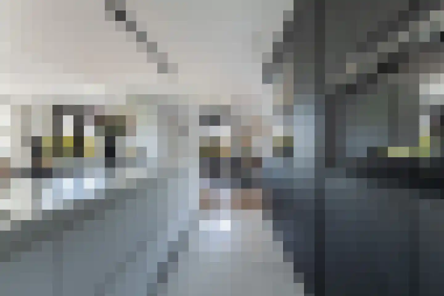 Achter-Catwijk 17 Pijnacker thumbnail 30