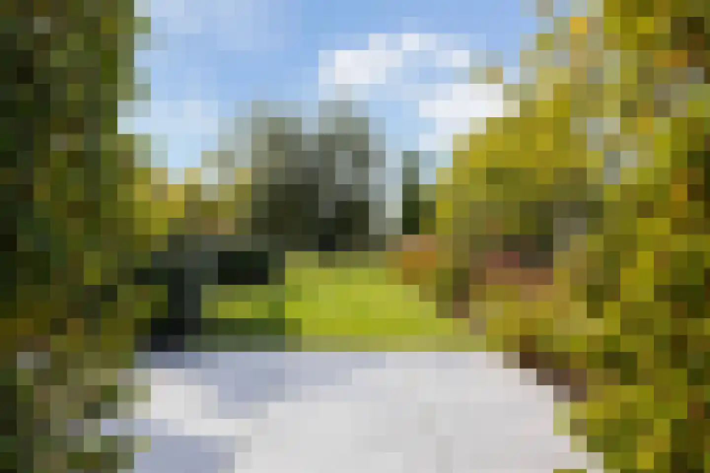 Achter-Catwijk 17 Pijnacker thumbnail 56