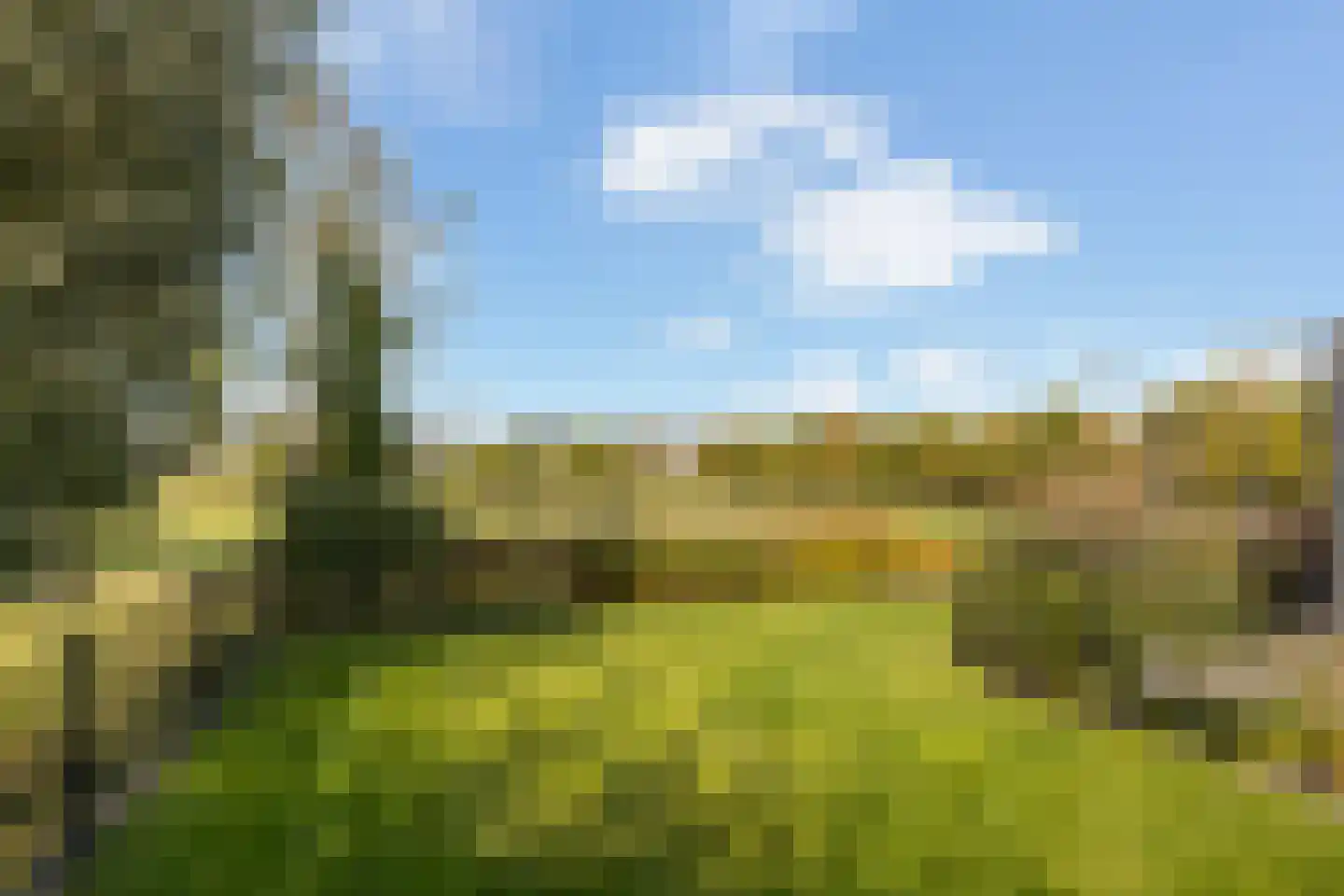 Achter-Catwijk 17 Pijnacker thumbnail 58