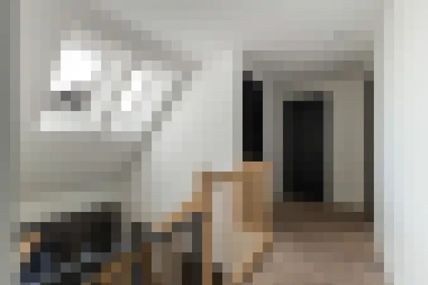 Achter-Catwijk 17 Pijnacker thumbnail 67
