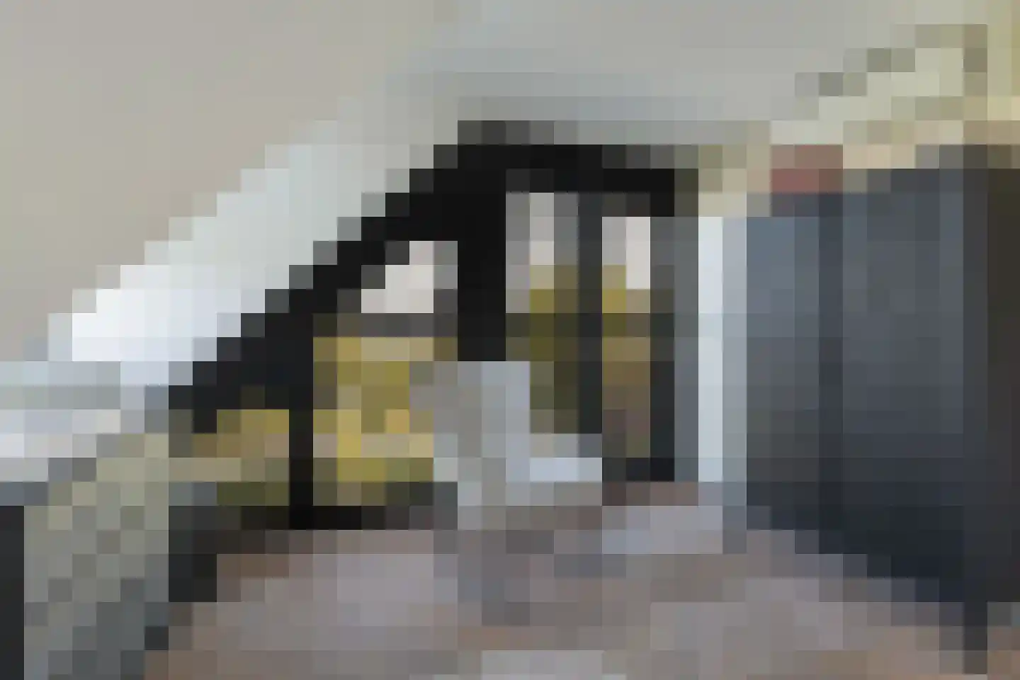 Achter-Catwijk 17 Pijnacker thumbnail 70