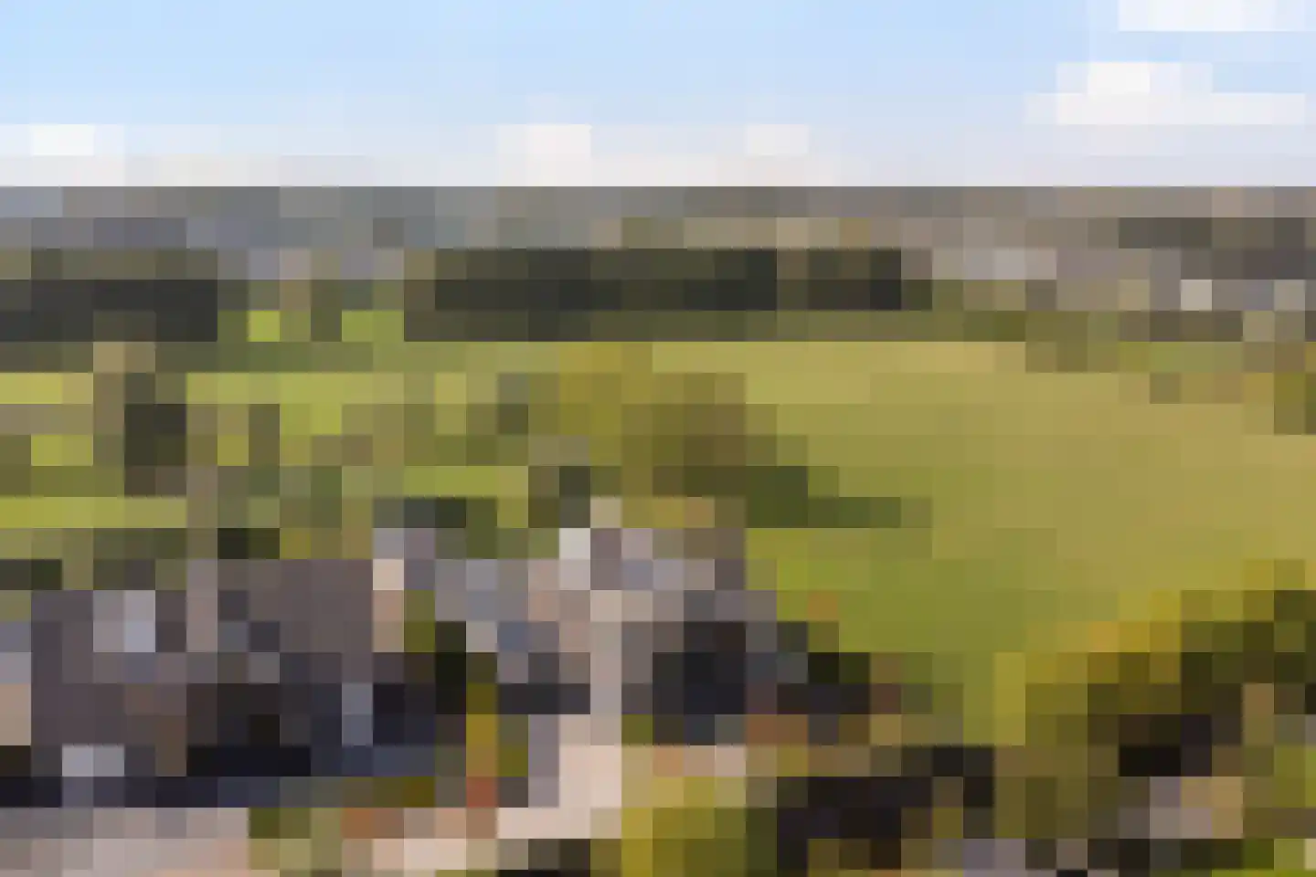 Achter-Catwijk 17 Pijnacker thumbnail 85