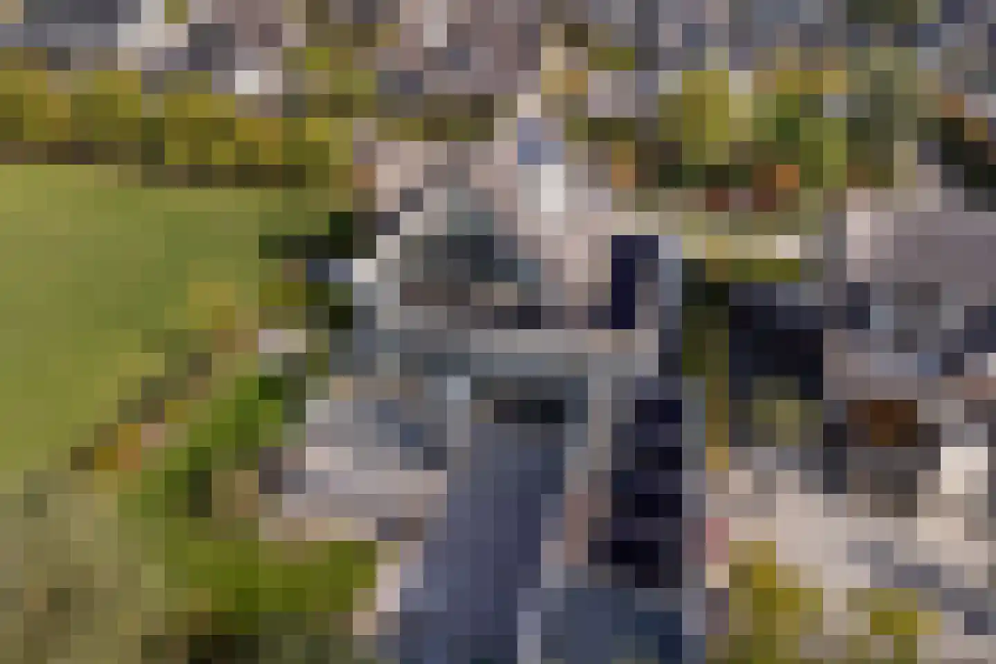 Achter-Catwijk 17 Pijnacker thumbnail 88