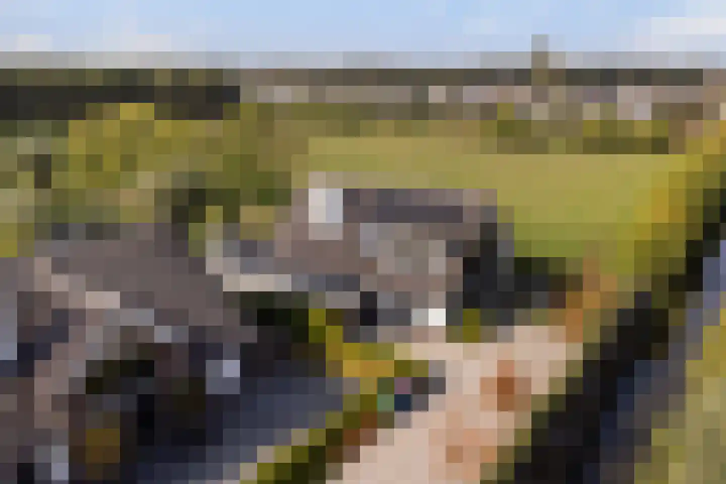 Achter-Catwijk 17 Pijnacker thumbnail 91