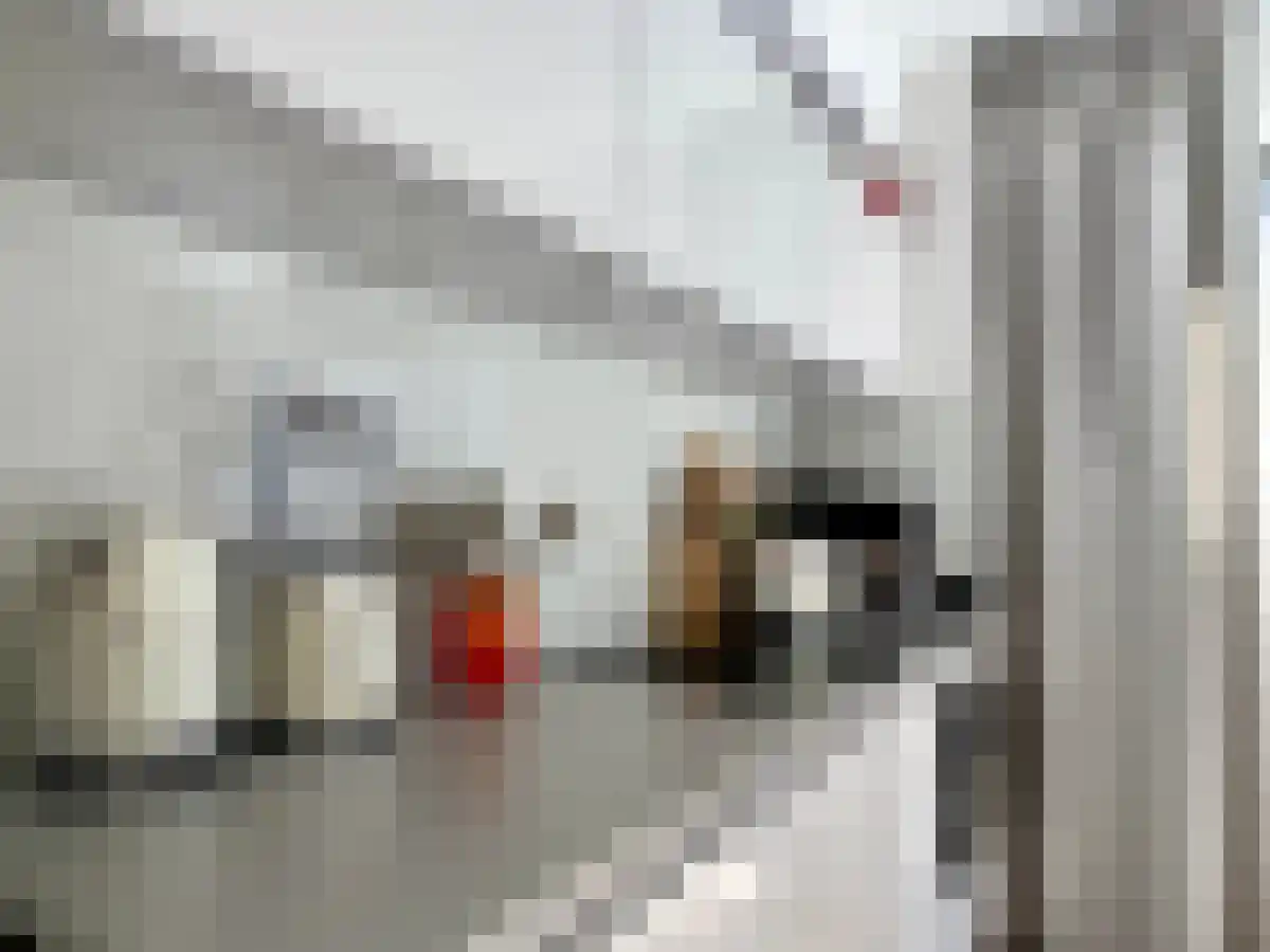 Achter Clarenburg 31 D Utrecht thumbnail 5