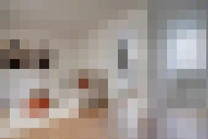 Achter Clarenburg 53 Utrecht thumbnail 6