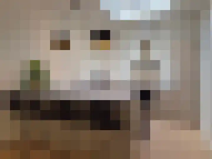 Achter de Arnhemse Poortwal 11 Amersfoort thumbnail 14