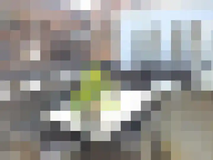 Achter de Arnhemse Poortwal 11 Amersfoort thumbnail 15