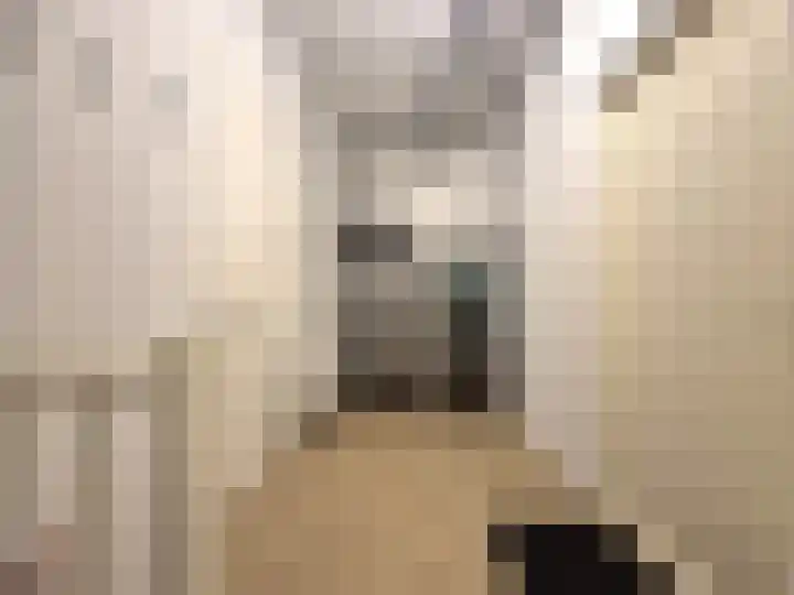 Achter de Arnhemse Poortwal 11 Amersfoort thumbnail 30