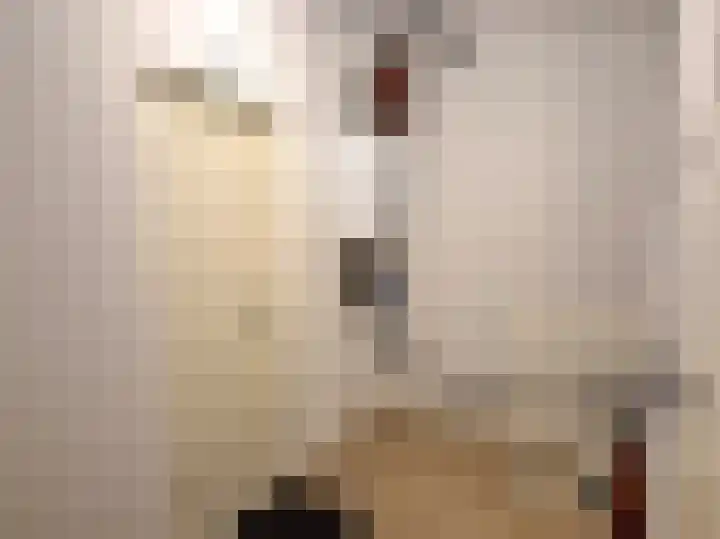 Achter de Arnhemse Poortwal 11 Amersfoort thumbnail 31
