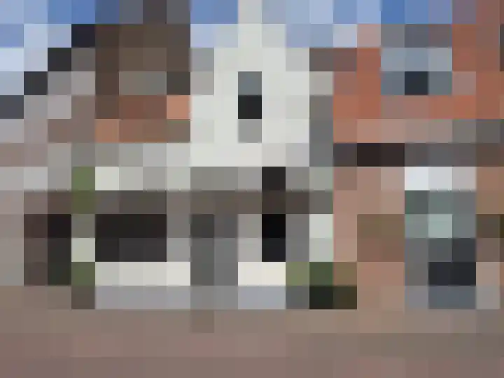 Achter de Arnhemse Poortwal 11 Amersfoort thumbnail 4