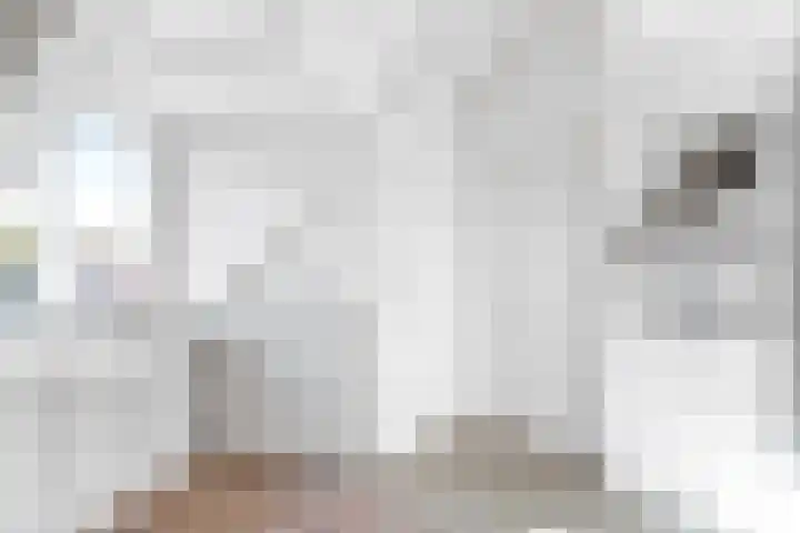 Achter de Arnhemse Poortwal 131 C Amersfoort thumbnail 18