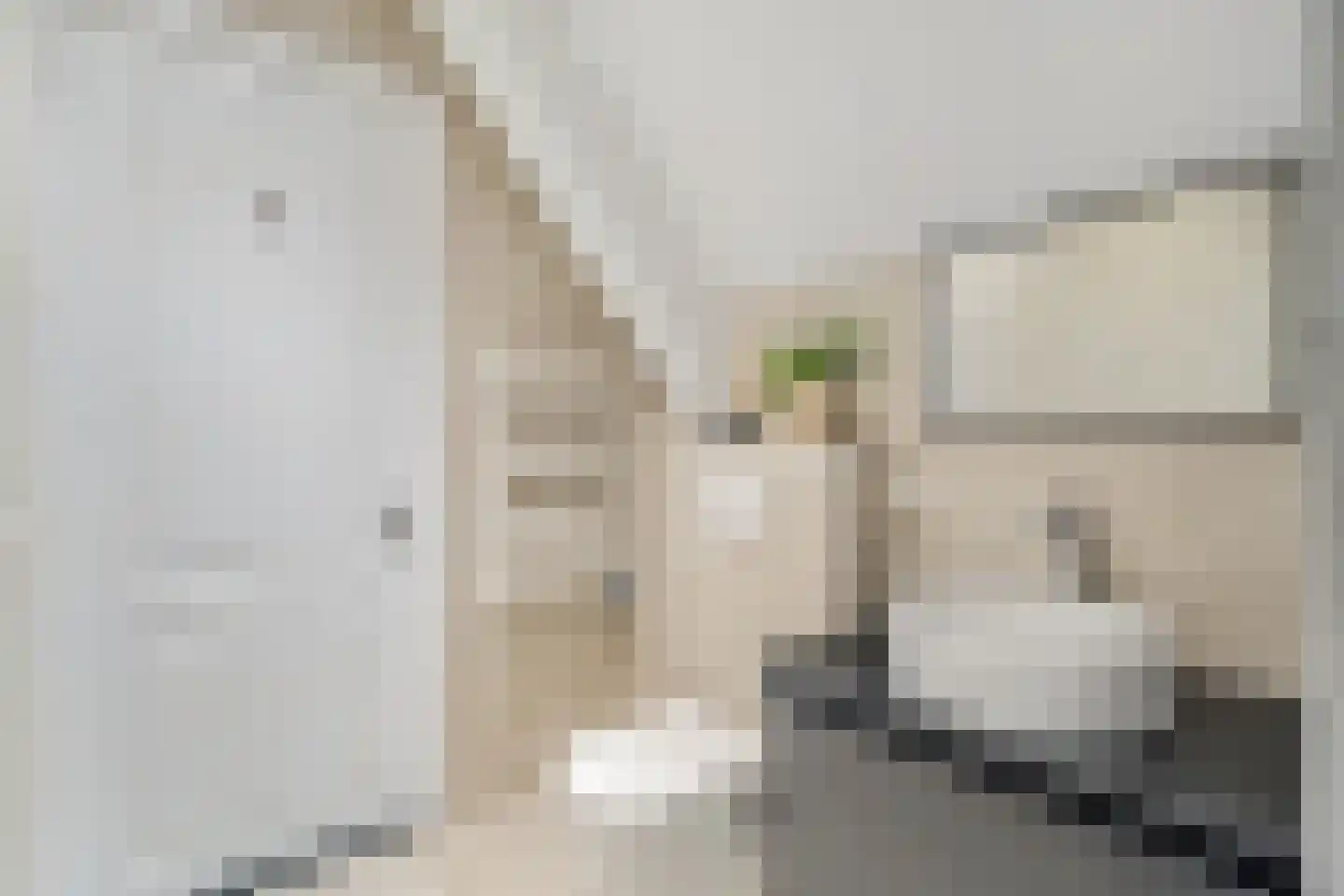 Achter de Arnhemse Poortwal 9 Amersfoort thumbnail 19