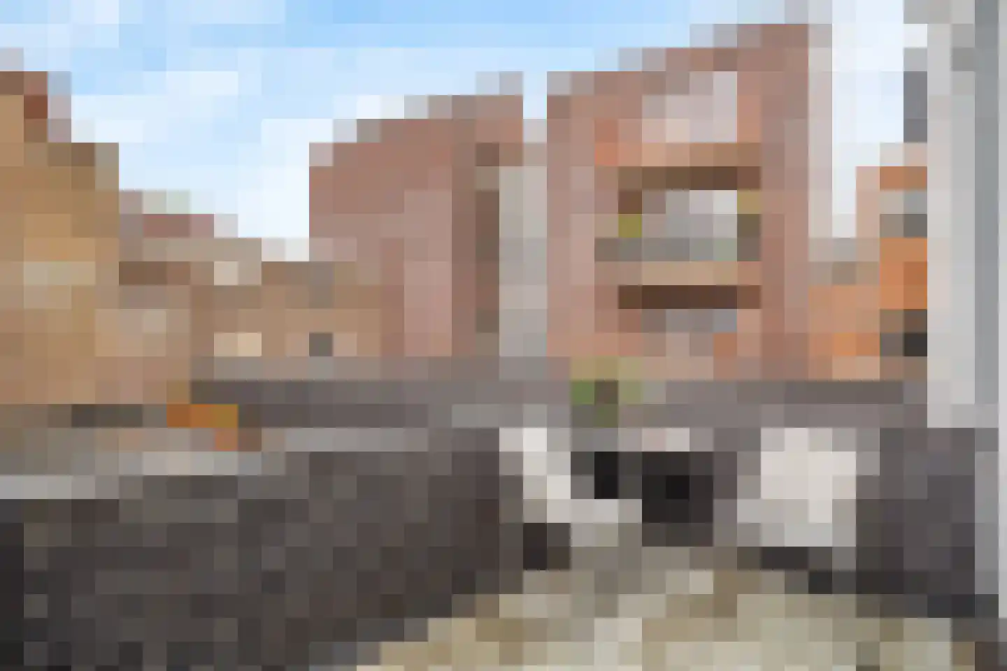 Achter de Arnhemse Poortwal 9 Amersfoort thumbnail 26