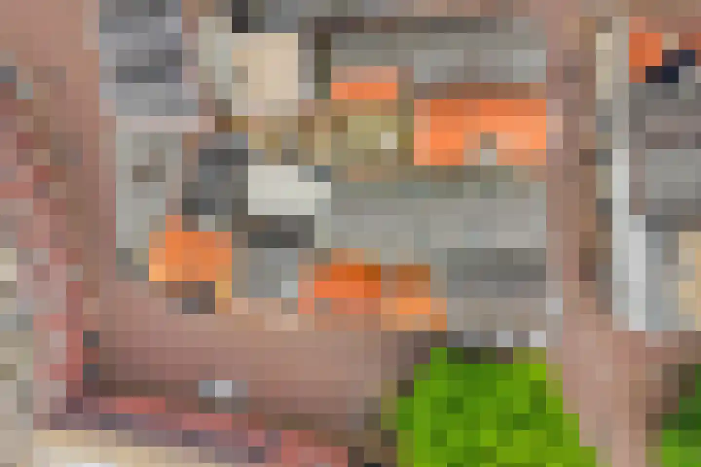 Achter de Arnhemse Poortwal 9 Amersfoort thumbnail 33