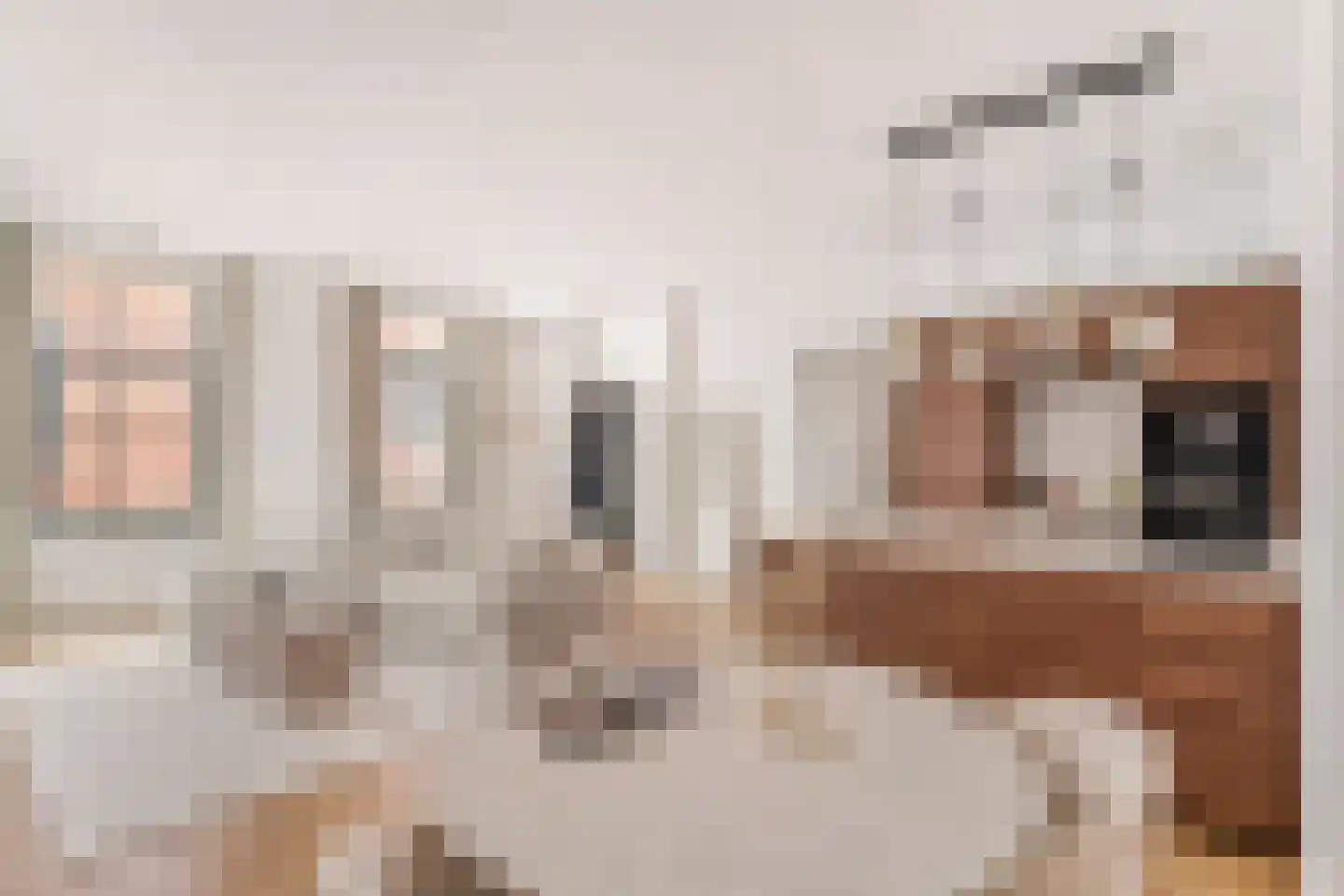 Achter de Arnhemse Poortwal 9 Amersfoort thumbnail 6