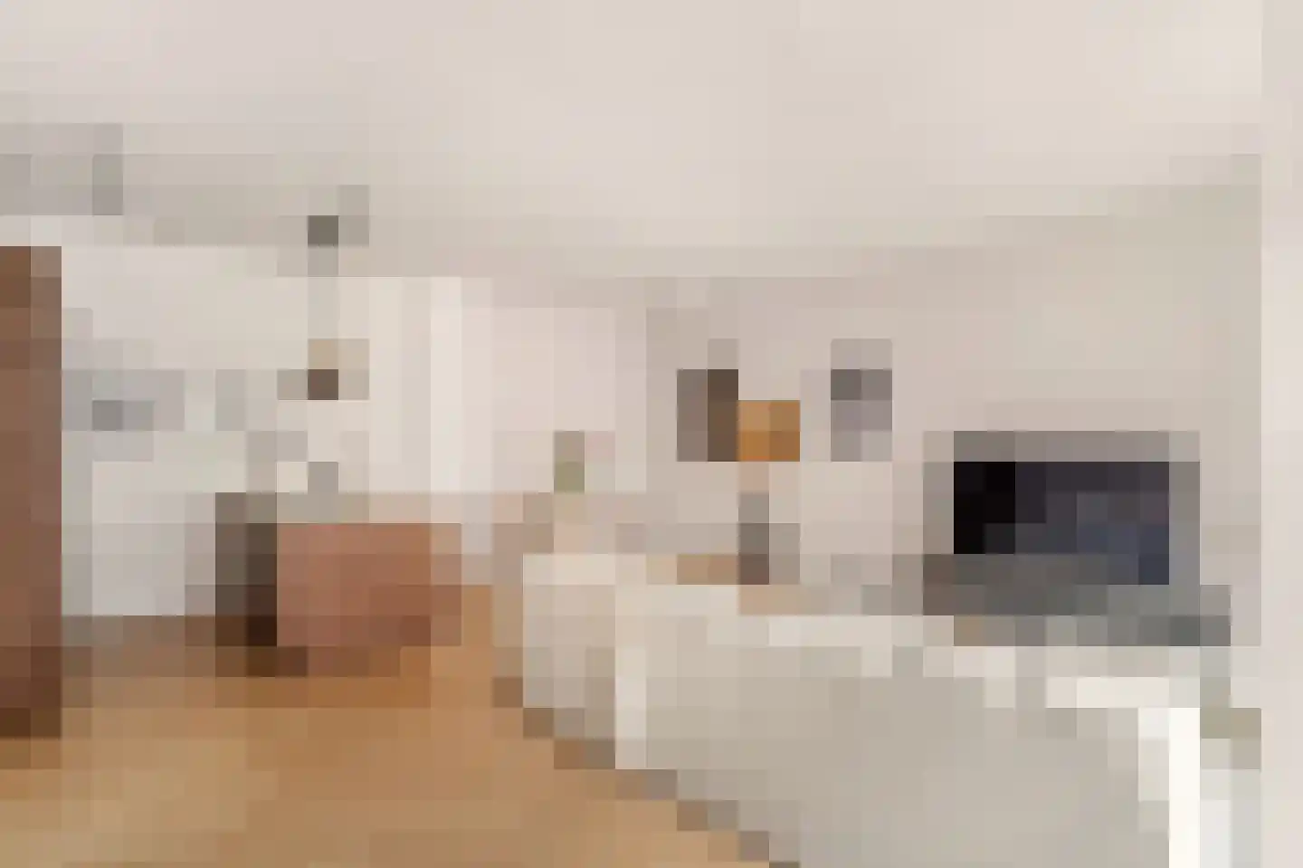 Achter de Arnhemse Poortwal 9 Amersfoort thumbnail 7
