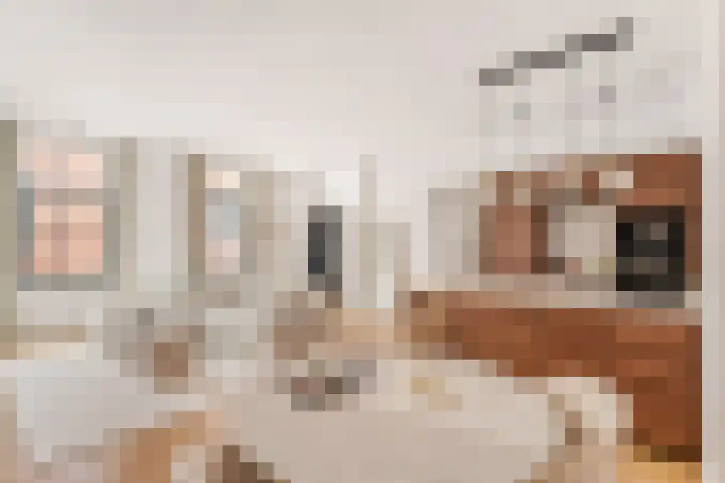 Achter de Arnhemse Poortwal 9 Amersfoort thumbnail 8