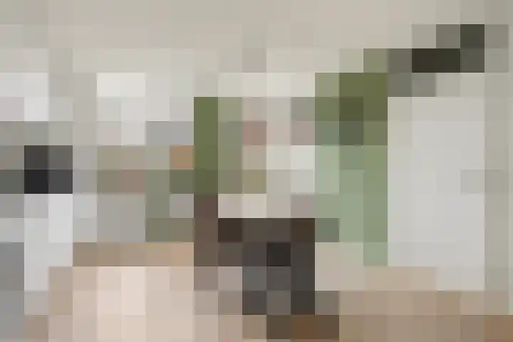 Achter de Bergen 15 Honselersdijk thumbnail 10
