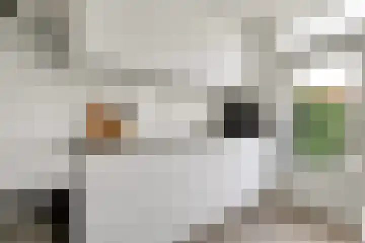 Achter de Bergen 15 Honselersdijk thumbnail 12