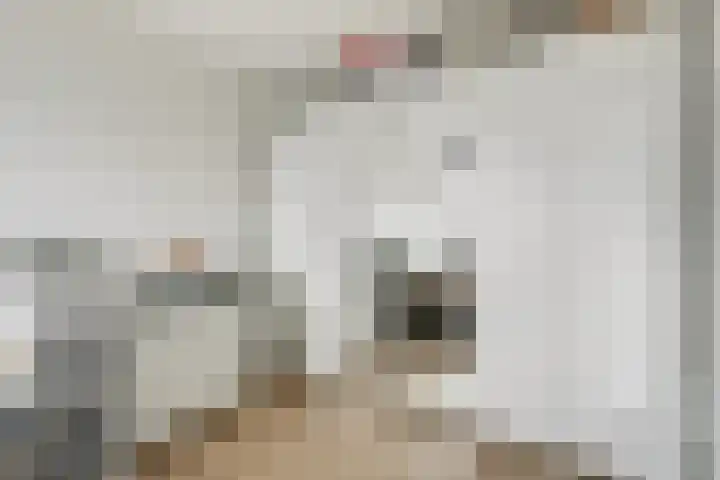 Achter de Bergen 15 Honselersdijk thumbnail 14