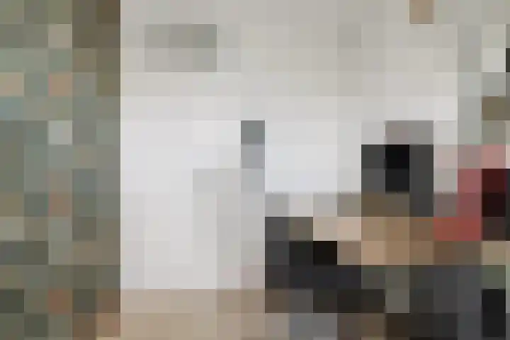 Achter de Bergen 15 Honselersdijk thumbnail 16