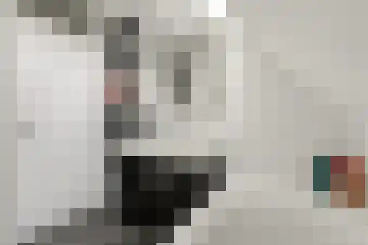 Achter de Bergen 15 Honselersdijk thumbnail 21