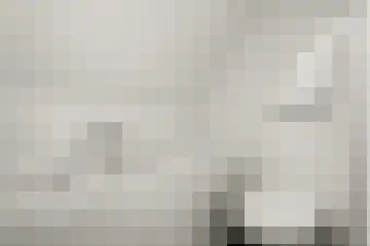 Achter de Bergen 15 Honselersdijk thumbnail 22