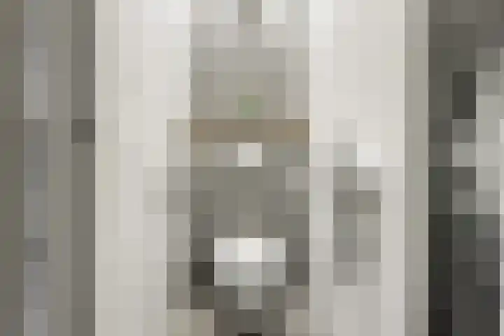 Achter de Bergen 15 Honselersdijk thumbnail 24