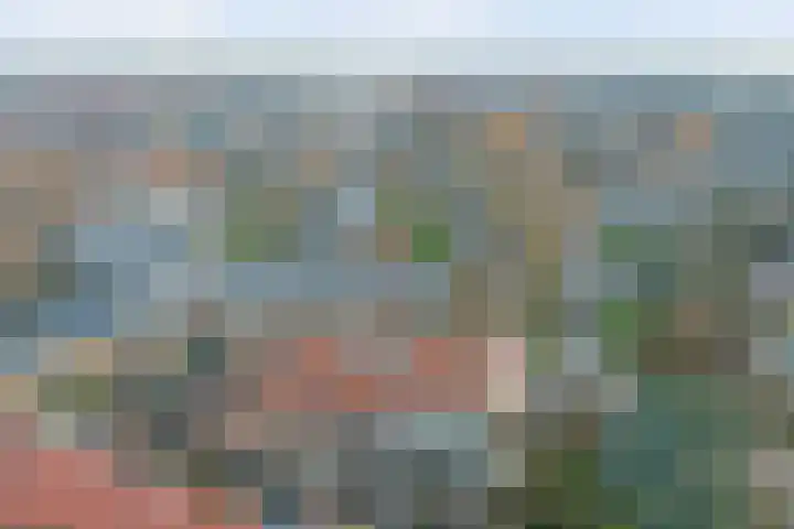 Achter de Bergen 15 Honselersdijk thumbnail 31