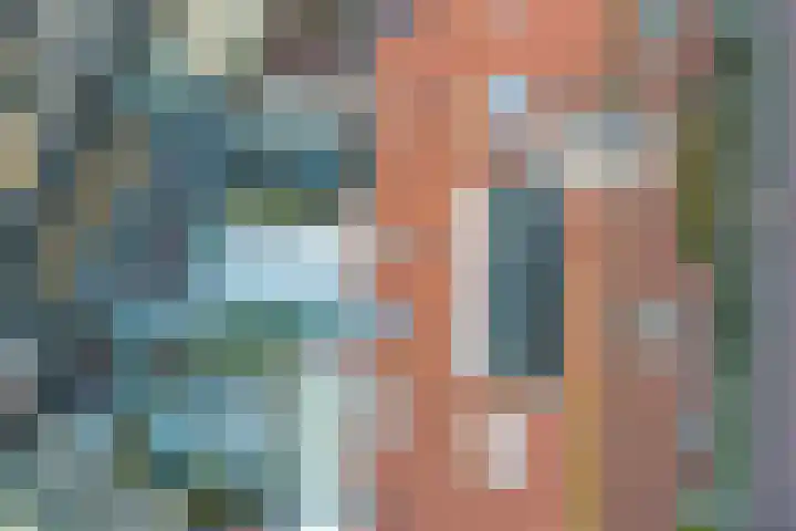 Achter de Bergen 15 Honselersdijk thumbnail 32