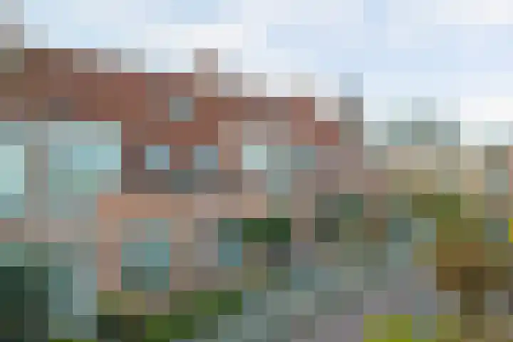 Achter de Bergen 15 Honselersdijk thumbnail 34