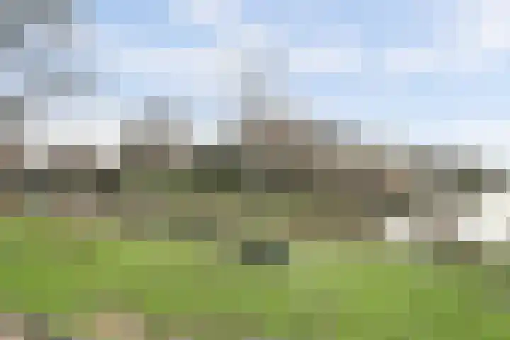 Achter de Bergen 15 Honselersdijk thumbnail 36