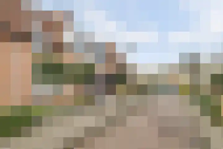 Achter de Bergen 15 Honselersdijk thumbnail 37