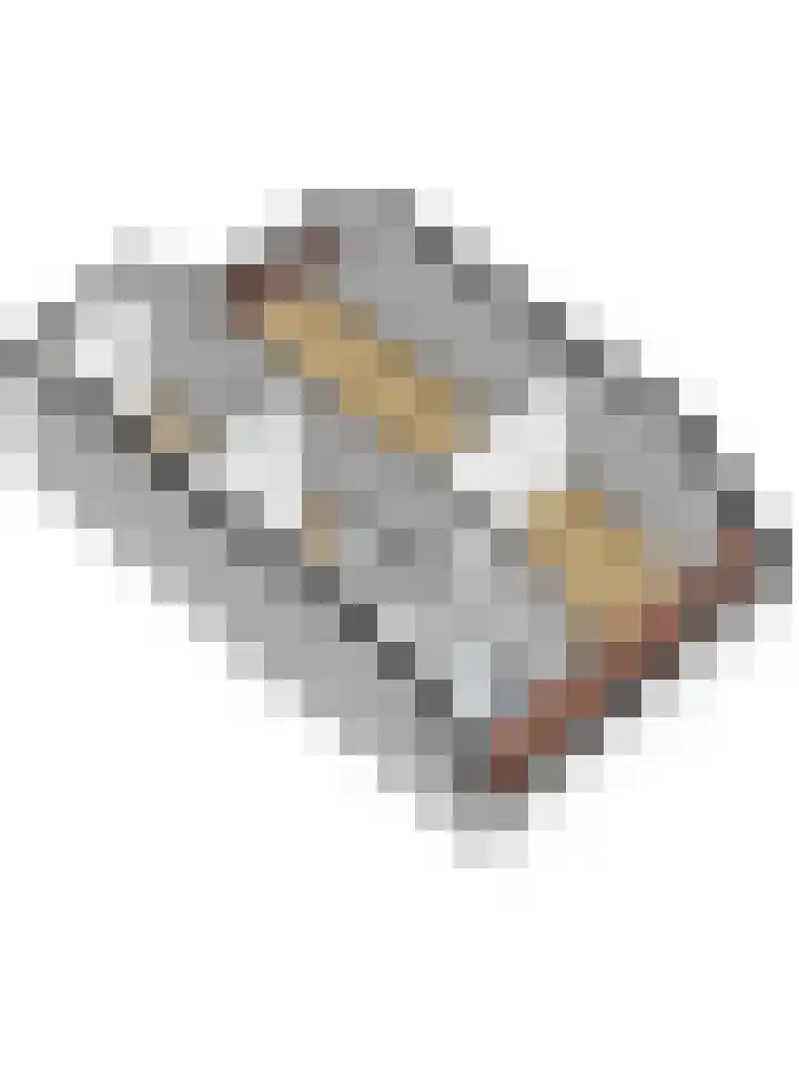 Achter de Bergen 15 Honselersdijk thumbnail 43