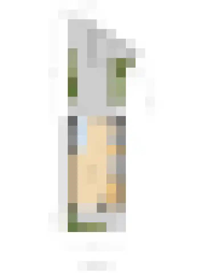 Achter de Bergen 15 Honselersdijk thumbnail 48