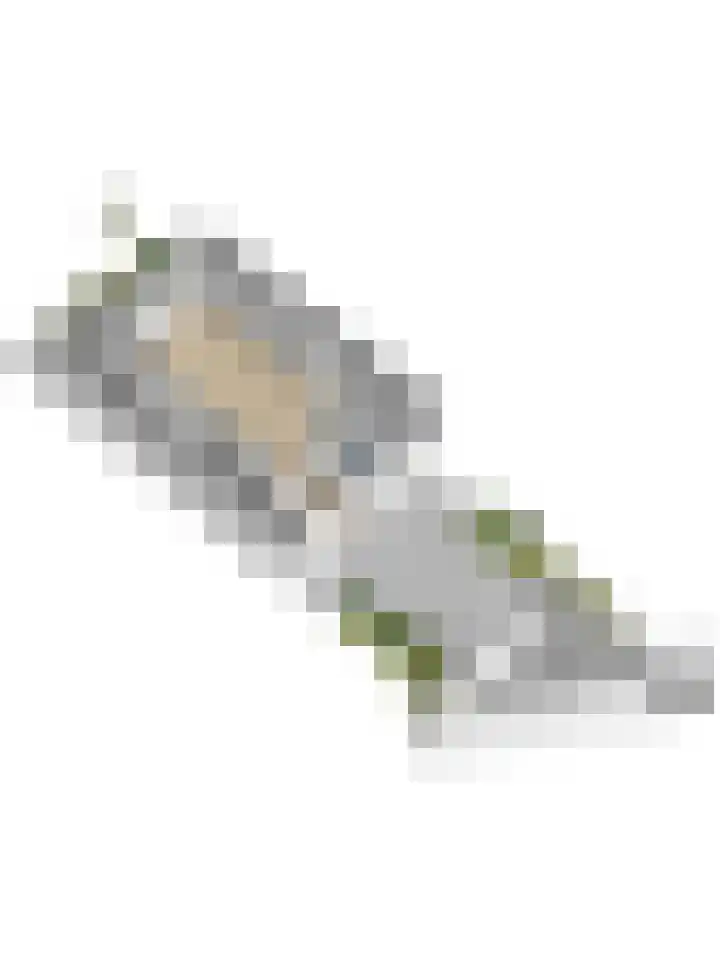 Achter de Bergen 15 Honselersdijk thumbnail 49