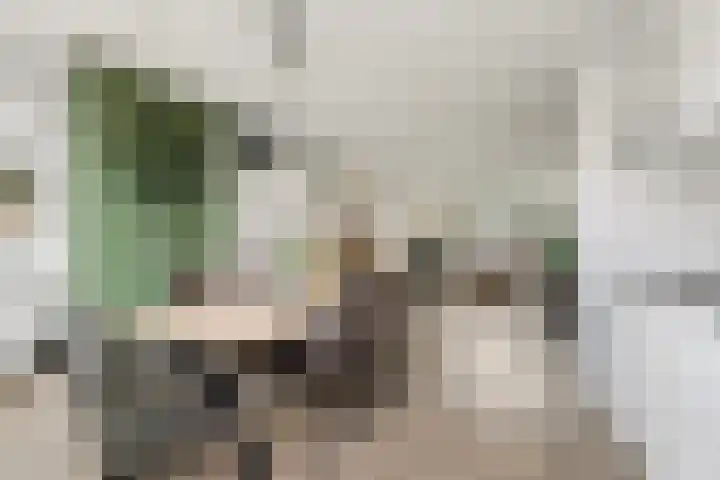 Achter de Bergen 15 Honselersdijk thumbnail 8