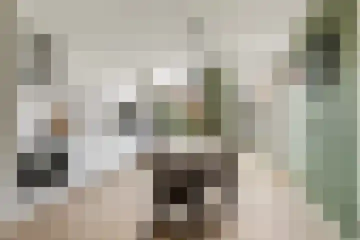 Achter de Bergen 15 Honselersdijk thumbnail 9