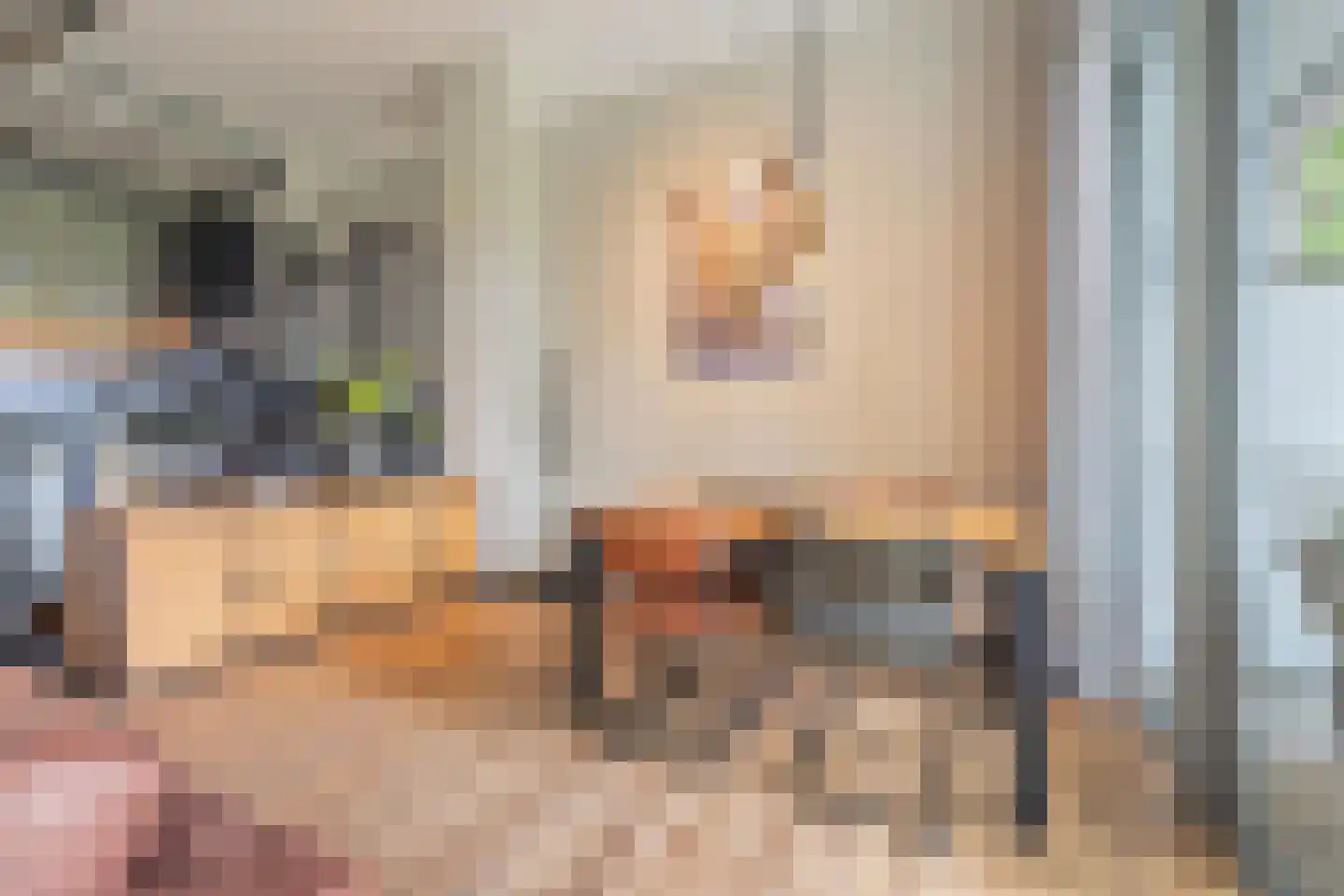Achter de Bergen 30 Dongen thumbnail 12