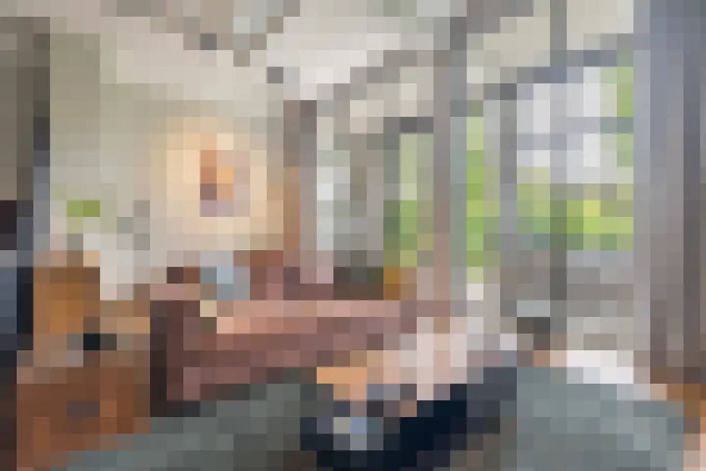 Achter de Bergen 30 Dongen thumbnail 4
