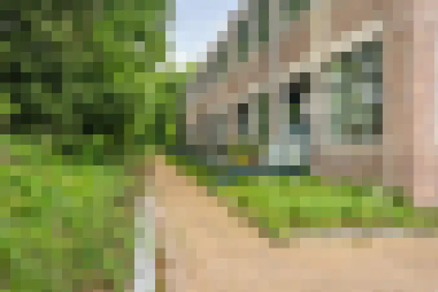 Achter de Bergen 30 Dongen thumbnail 40