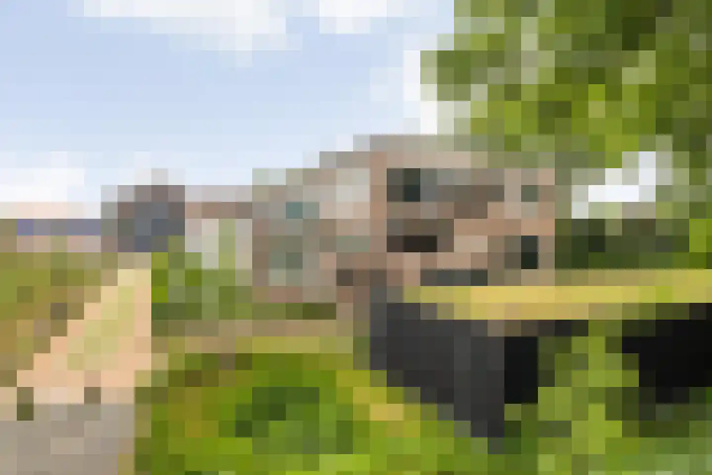 Achter de Bergen 30 Dongen thumbnail 43