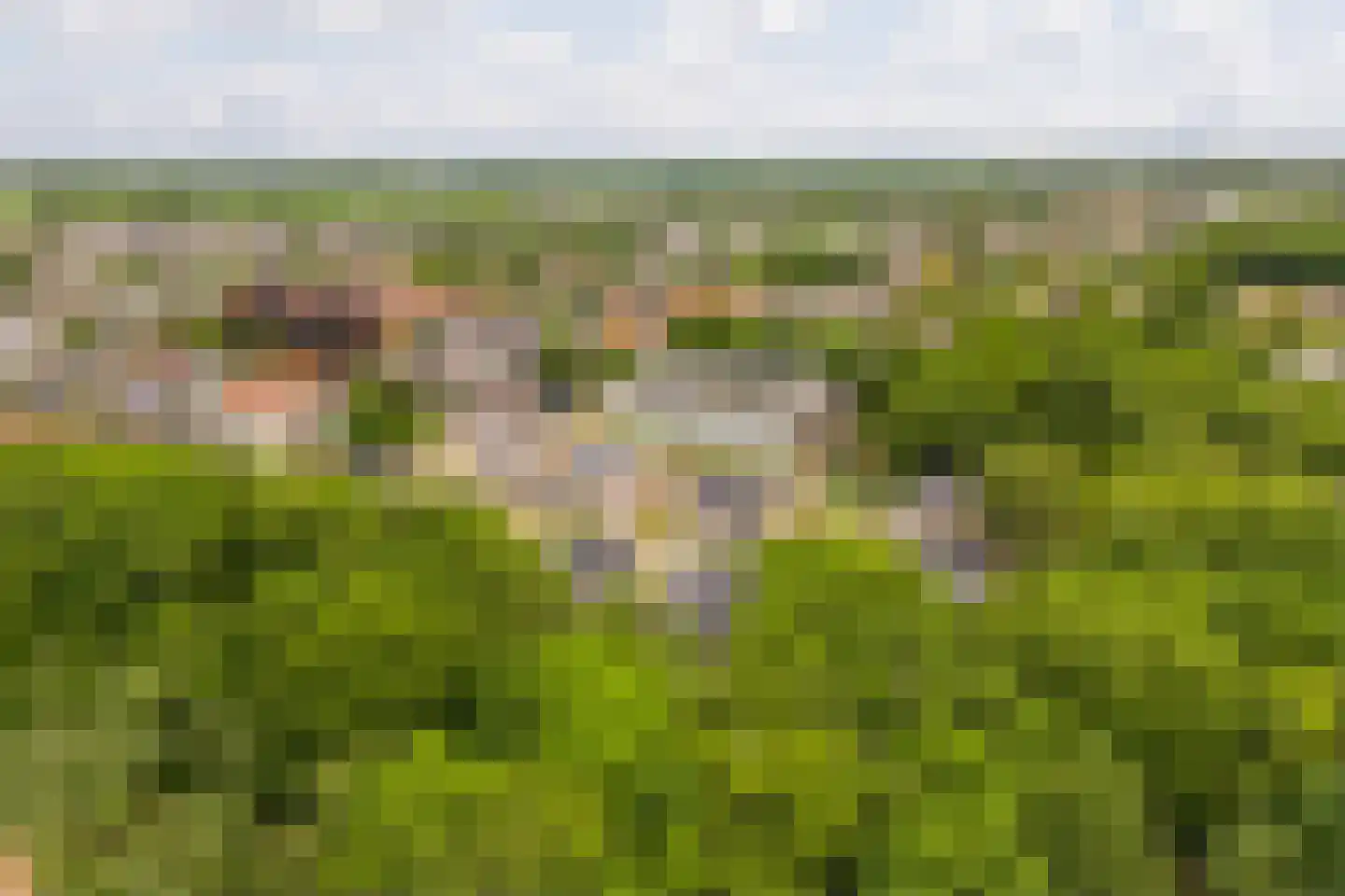 Achter de Bergen 30 Dongen thumbnail 44