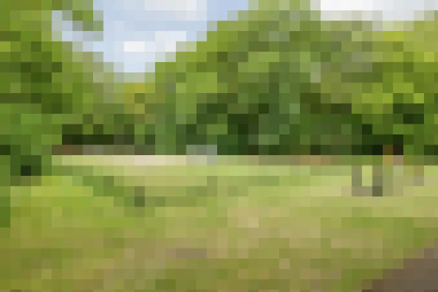 Achter de Bergen 30 Dongen thumbnail 46