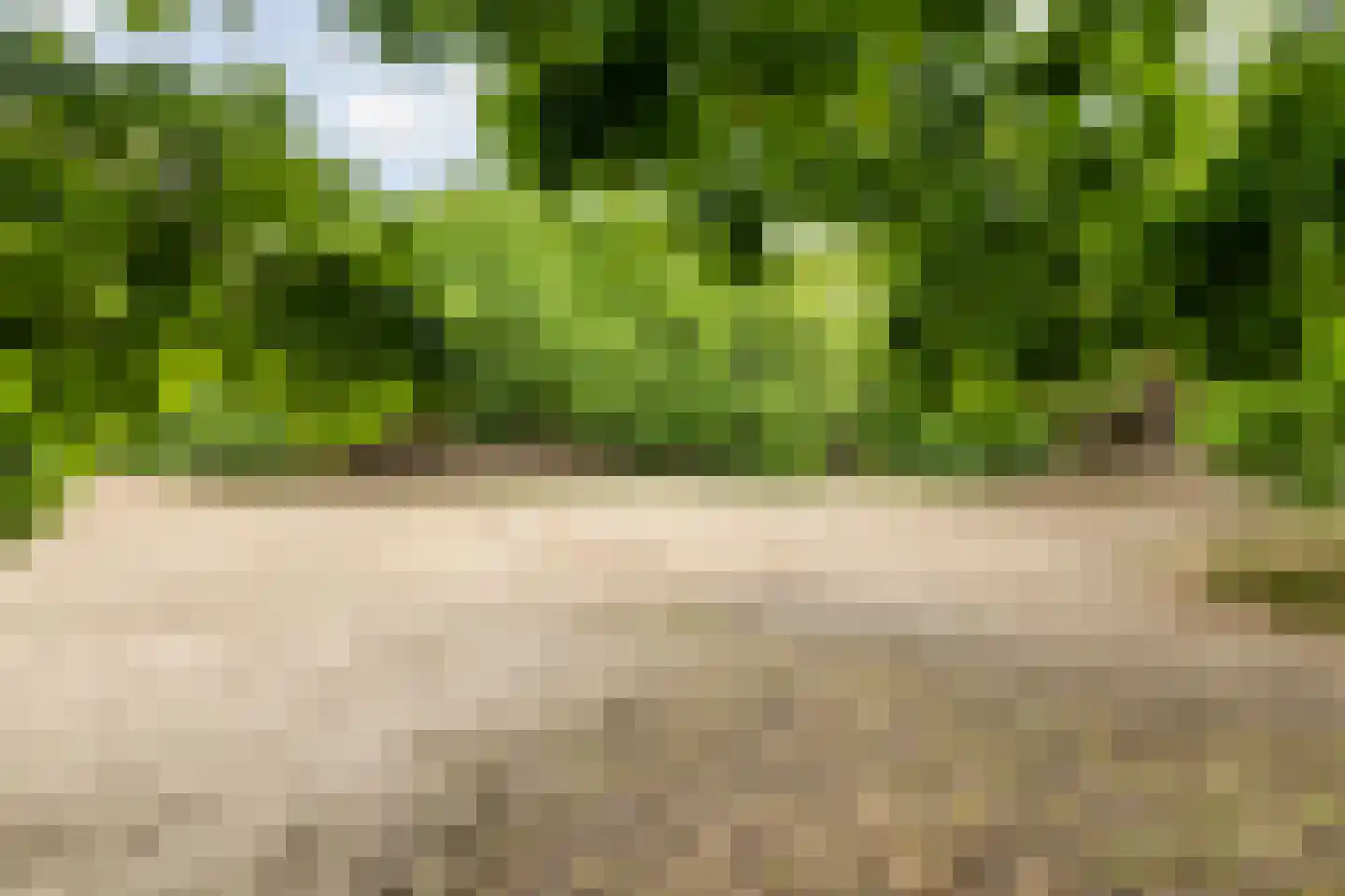 Achter de Bergen 30 Dongen thumbnail 47