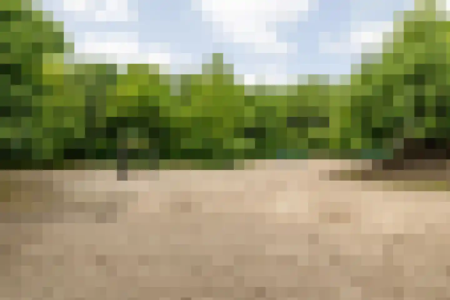Achter de Bergen 30 Dongen thumbnail 48