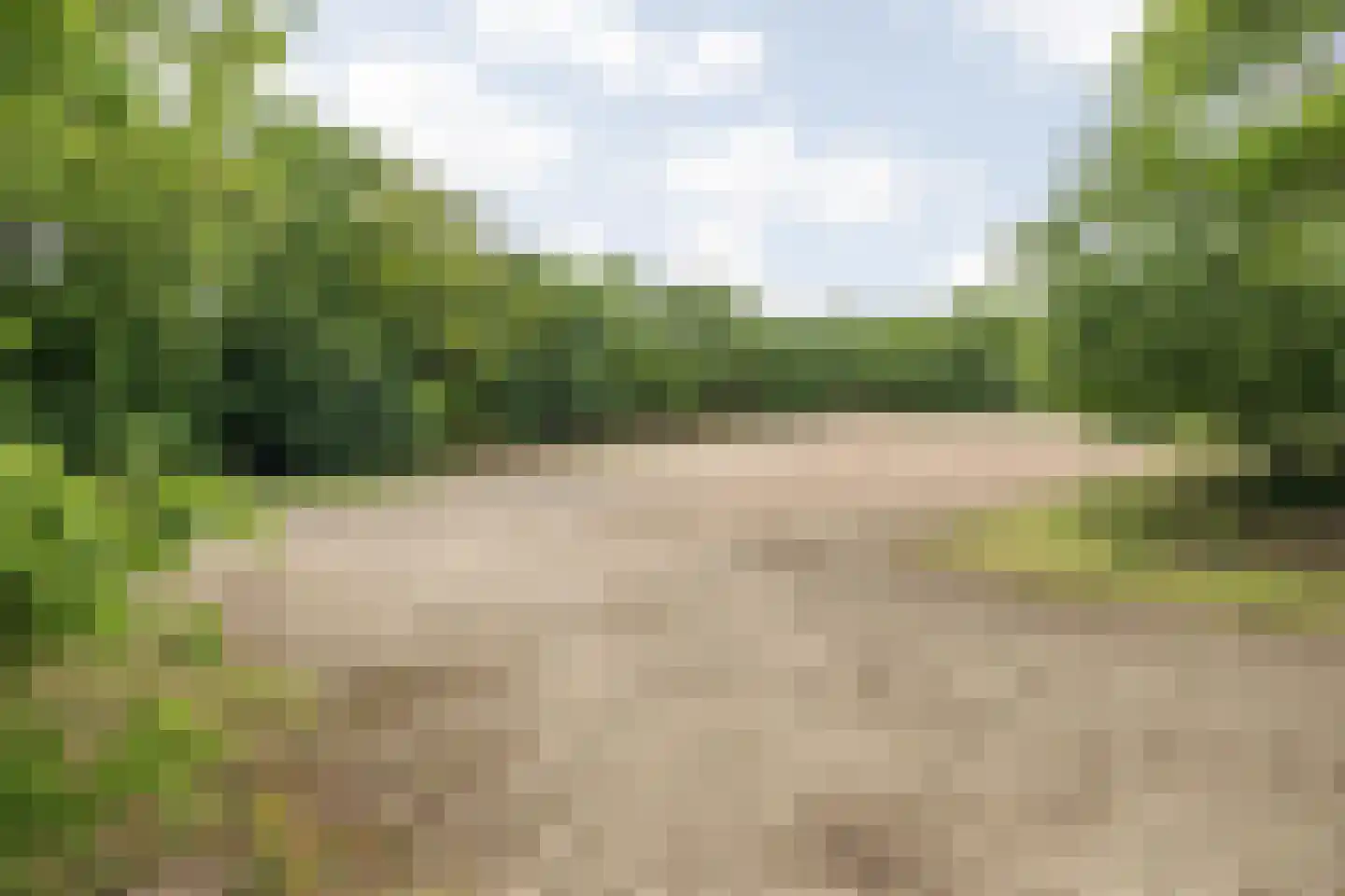 Achter de Bergen 30 Dongen thumbnail 49