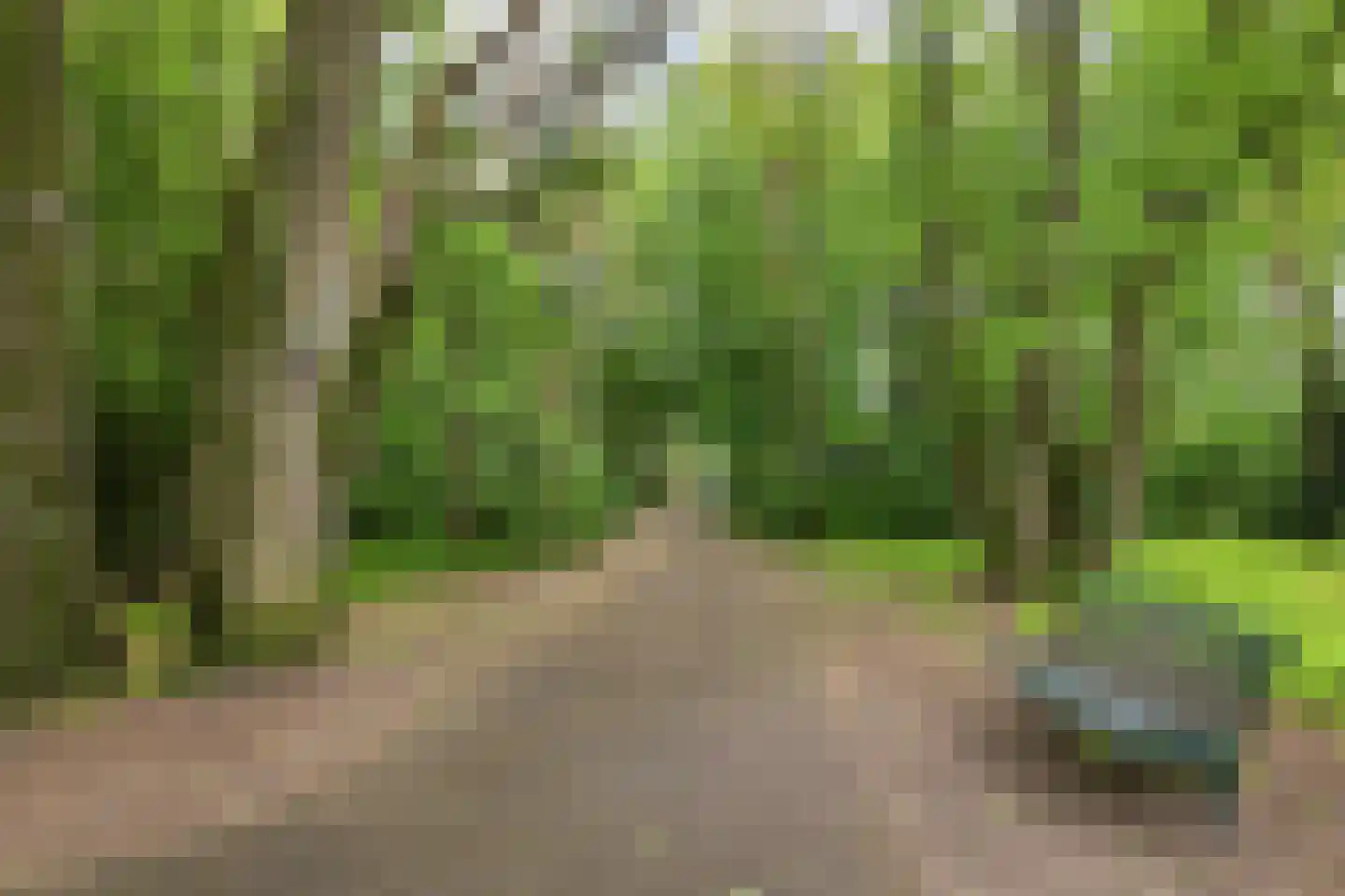 Achter de Bergen 30 Dongen thumbnail 50